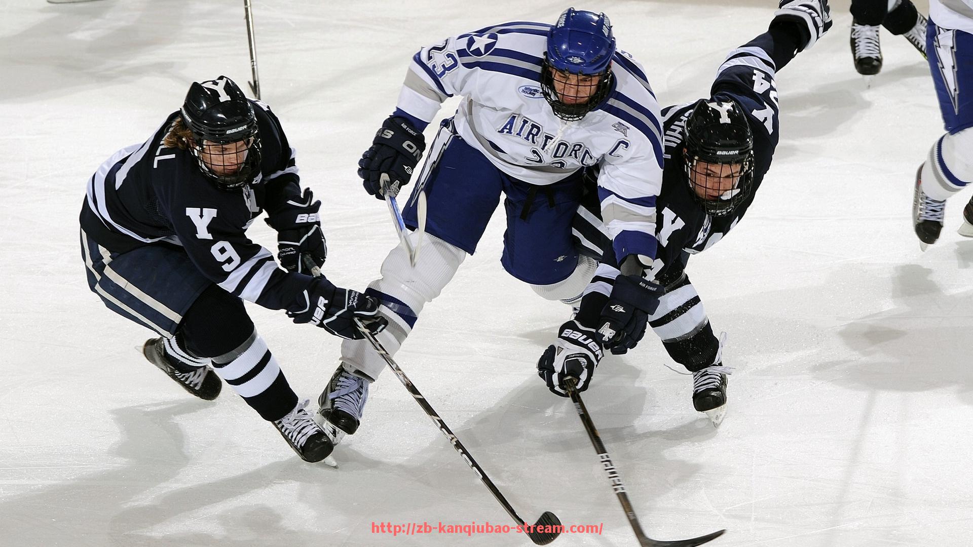 看球宝-火箭队得分排名历史统计与分析及球员表现点评